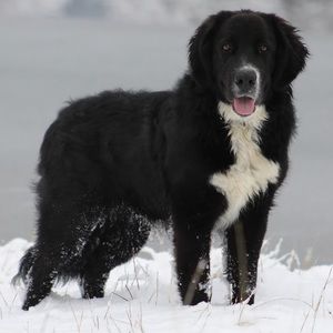 Meet your Posher, Candi